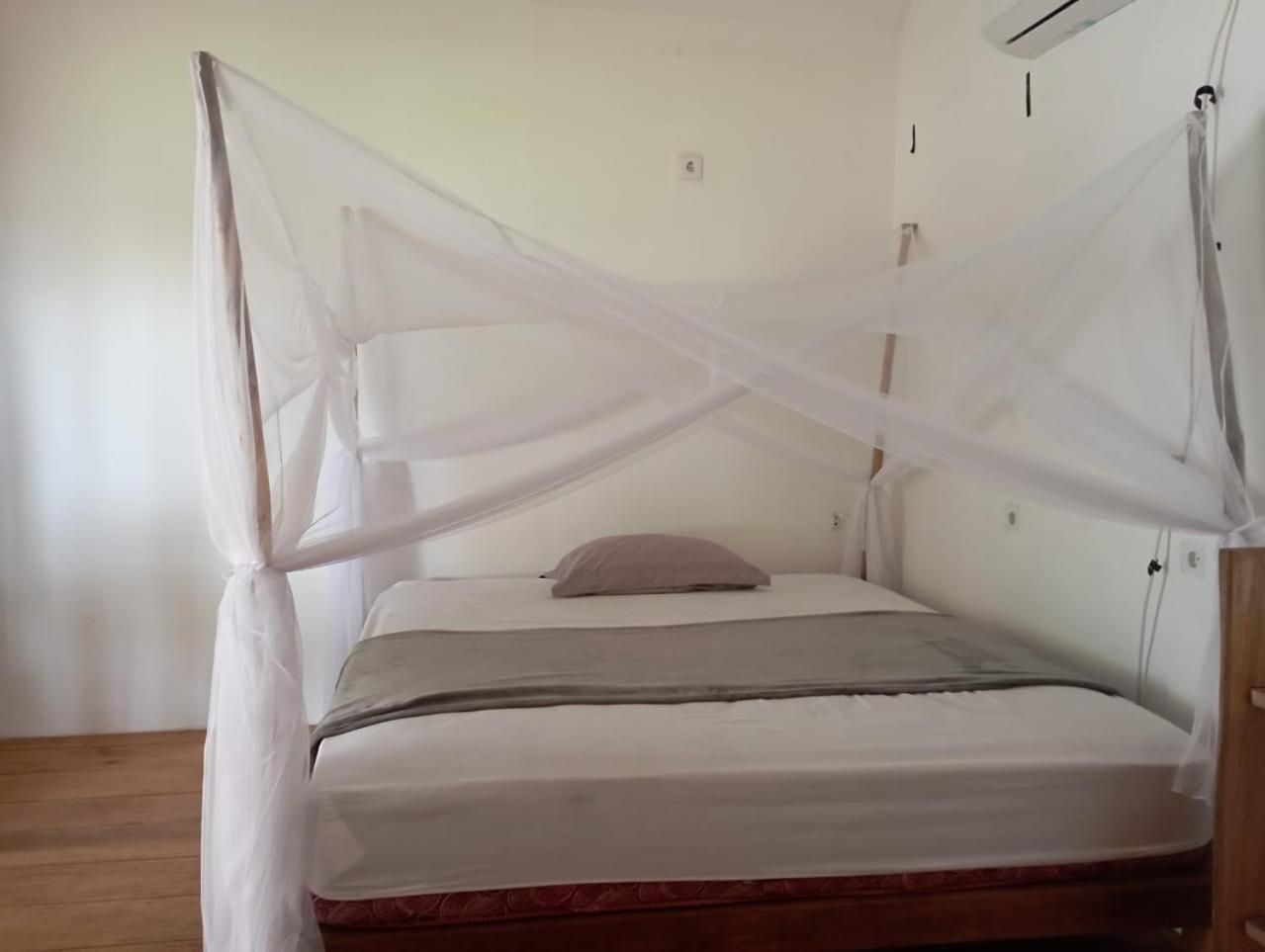 Lances Surf Camp Homestay *