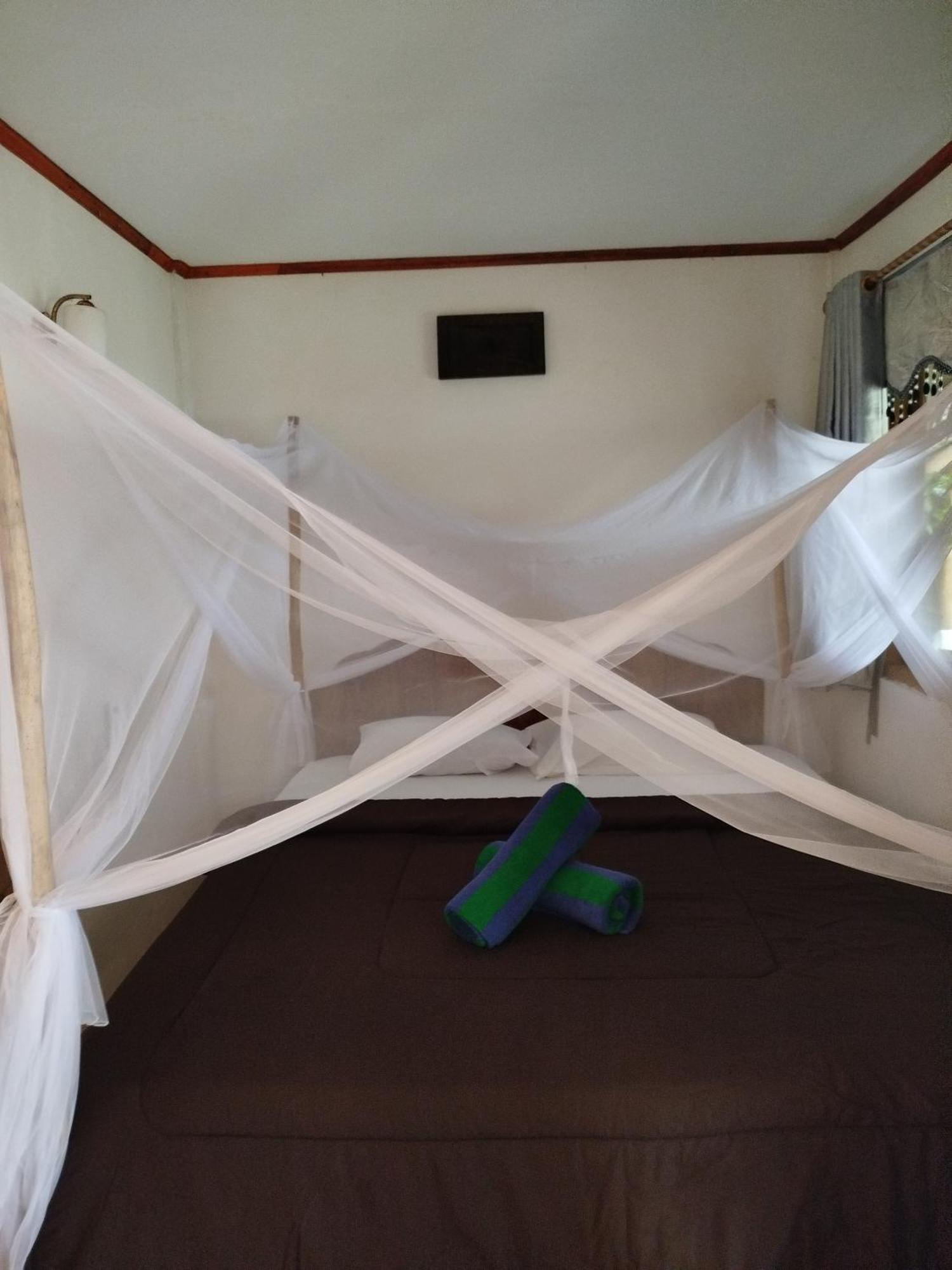 Lances Surf Camp Homestay *